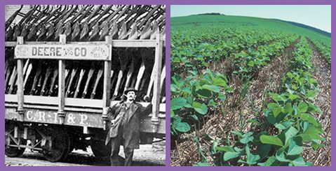 SOIL PRESERVATION
