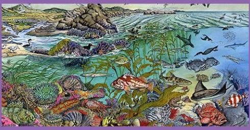MARINE PROTECTED AREAS