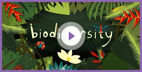 WHY IS BIODIVERSITY SO IMPORTANT?