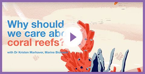 WHY SHOULD WE CARE ABOUT CORAL REEFS?
